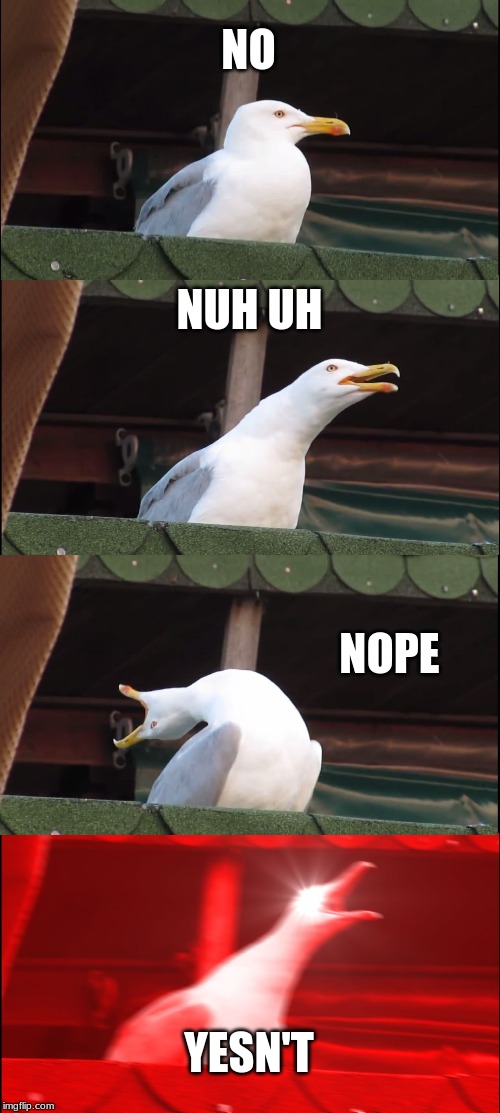 Inhaling Seagull | NO; NUH UH; NOPE; YESN'T | image tagged in memes,inhaling seagull | made w/ Imgflip meme maker