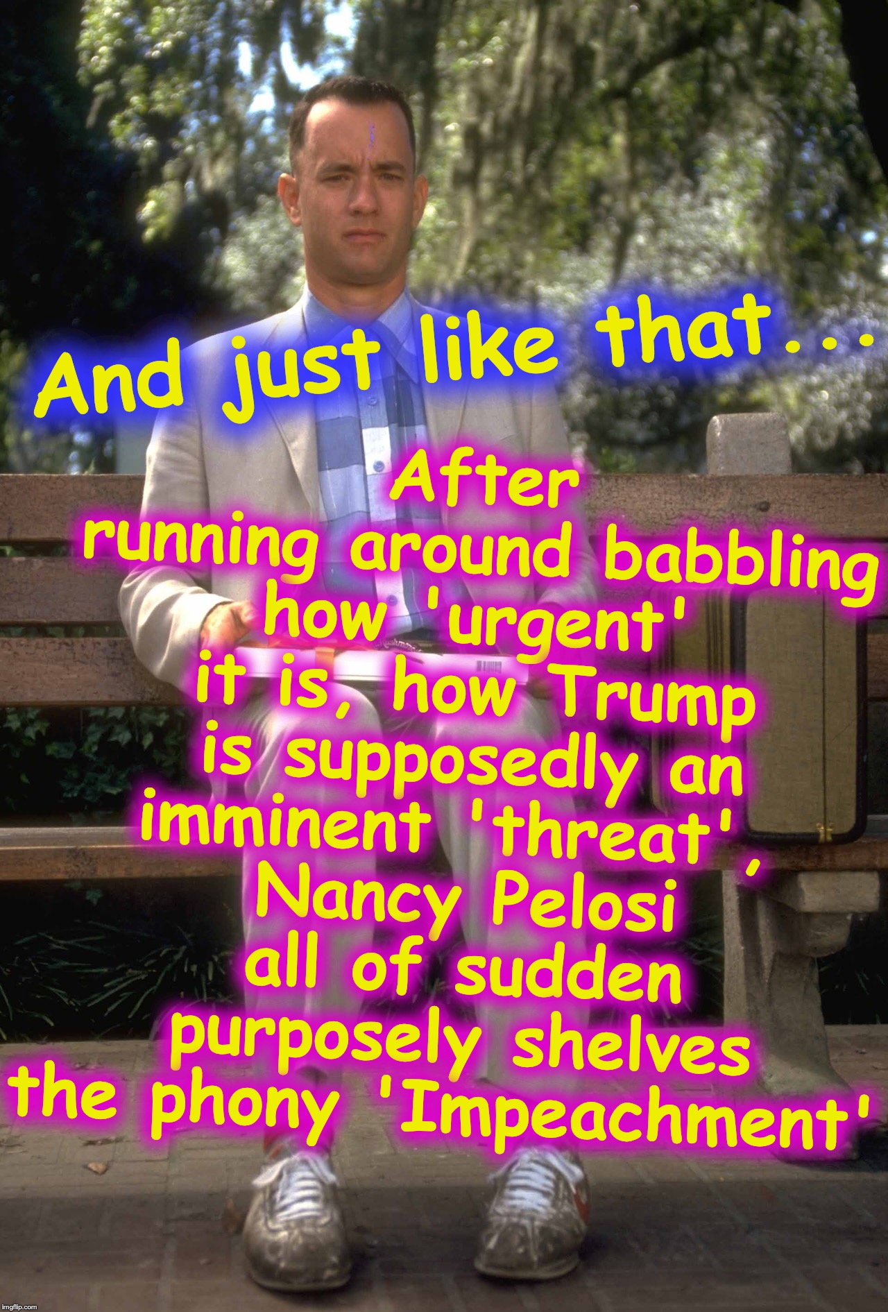 you have to be a special kind to sign-on to the tripe | After running around babbling how 'urgent' it is, how Trump is supposedly an imminent 'threat', 
Nancy Pelosi all of sudden purposely shelves the phony 'Impeachment'; And just like that... | image tagged in pelosi,impeachment | made w/ Imgflip meme maker
