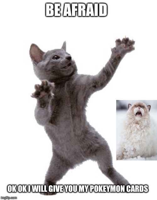 Happy Dance Cat | BE AFRAID; OK OK I WILL GIVE YOU MY POKEYMON CARDS | image tagged in happy dance cat | made w/ Imgflip meme maker