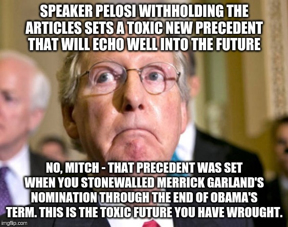 That's just rich, Mitch! | SPEAKER PELOSI WITHHOLDING THE ARTICLES SETS A TOXIC NEW PRECEDENT THAT WILL ECHO WELL INTO THE FUTURE; NO, MITCH - THAT PRECEDENT WAS SET WHEN YOU STONEWALLED MERRICK GARLAND'S NOMINATION THROUGH THE END OF OBAMA'S TERM. THIS IS THE TOXIC FUTURE YOU HAVE WROUGHT. | image tagged in mitch mcconnell,memes,politics | made w/ Imgflip meme maker