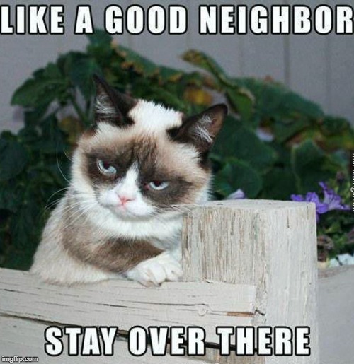 grumpy cat doind State Farm ads | image tagged in grumpy cat,good neighbor,state farm | made w/ Imgflip meme maker