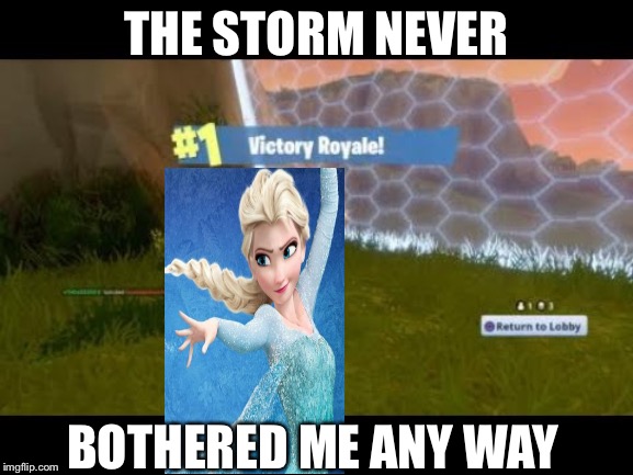 fortnite | THE STORM NEVER; BOTHERED ME ANY WAY | image tagged in fortnite | made w/ Imgflip meme maker