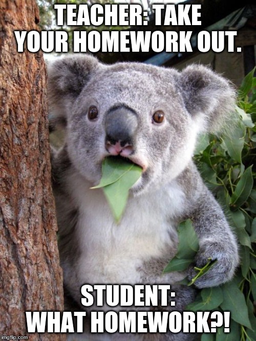 shocked koala | TEACHER: TAKE YOUR HOMEWORK OUT. STUDENT: WHAT HOMEWORK?! | image tagged in shocked koala | made w/ Imgflip meme maker