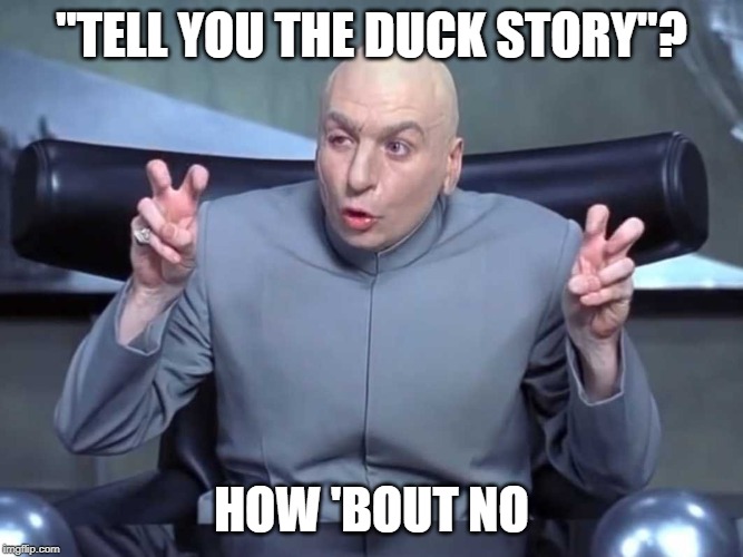 Dr Evil air quotes | "TELL YOU THE DUCK STORY"? HOW 'BOUT NO | image tagged in dr evil air quotes | made w/ Imgflip meme maker