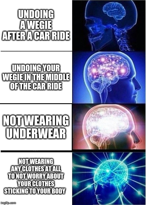 Expanding Brain | UNDOING A WEGIE AFTER A CAR RIDE; UNDOING YOUR WEGIE IN THE MIDDLE OF THE CAR RIDE; NOT WEARING UNDERWEAR; NOT WEARING ANY CLOTHES AT ALL TO NOT WORRY ABOUT YOUR CLOTHES STICKING TO YOUR BODY | image tagged in memes,expanding brain | made w/ Imgflip meme maker