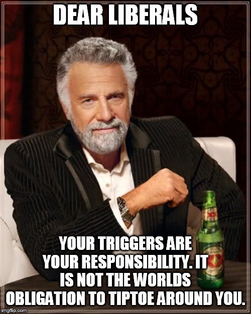 every liberal needs every thing handed to them and done the way they want | DEAR LIBERALS; YOUR TRIGGERS ARE YOUR RESPONSIBILITY. IT IS NOT THE WORLDS OBLIGATION TO TIPTOE AROUND YOU. | image tagged in memes,the most interesting man in the world,liberals | made w/ Imgflip meme maker
