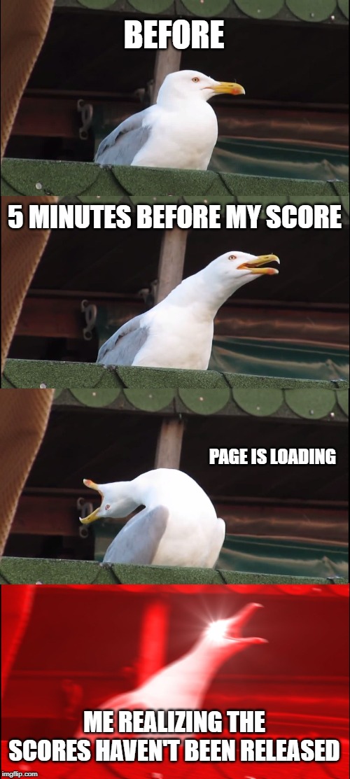 Inhaling Seagull | BEFORE; 5 MINUTES BEFORE MY SCORE; PAGE IS LOADING; ME REALIZING THE SCORES HAVEN'T BEEN RELEASED | image tagged in memes,inhaling seagull | made w/ Imgflip meme maker