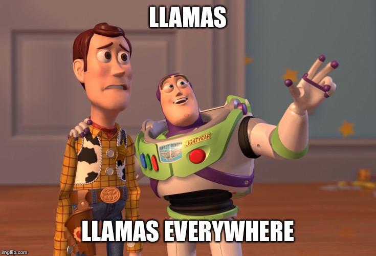 X, X Everywhere | LLAMAS; LLAMAS EVERYWHERE | image tagged in memes,x x everywhere | made w/ Imgflip meme maker
