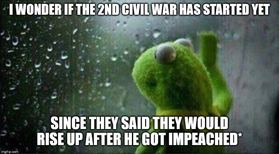 Kermit staring out of window | I WONDER IF THE 2ND CIVIL WAR HAS STARTED YET; SINCE THEY SAID THEY WOULD RISE UP AFTER HE GOT IMPEACHED* | image tagged in kermit staring out of window | made w/ Imgflip meme maker
