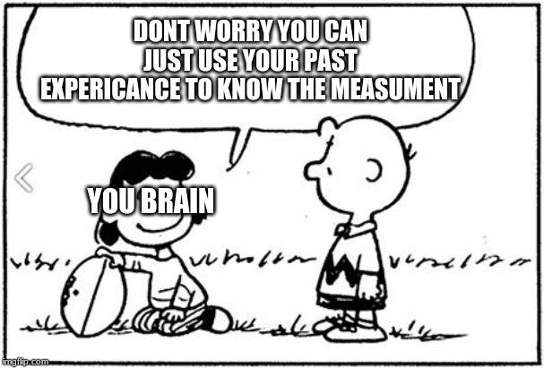 Charlie Brown football | DONT WORRY YOU CAN JUST USE YOUR PAST EXPERIENCE TO KNOW THE MEASUREMENT YOU BRAIN | image tagged in charlie brown football | made w/ Imgflip meme maker