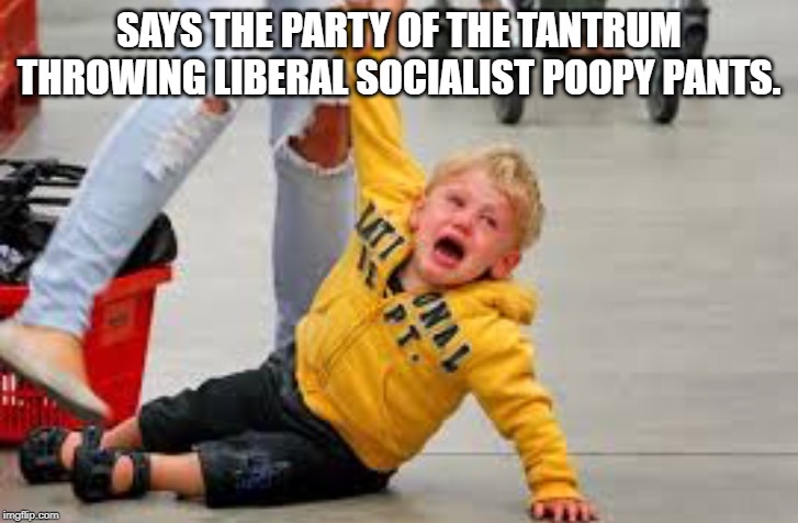 Tantrum store | SAYS THE PARTY OF THE TANTRUM THROWING LIBERAL SOCIALIST POOPY PANTS. | image tagged in tantrum store | made w/ Imgflip meme maker