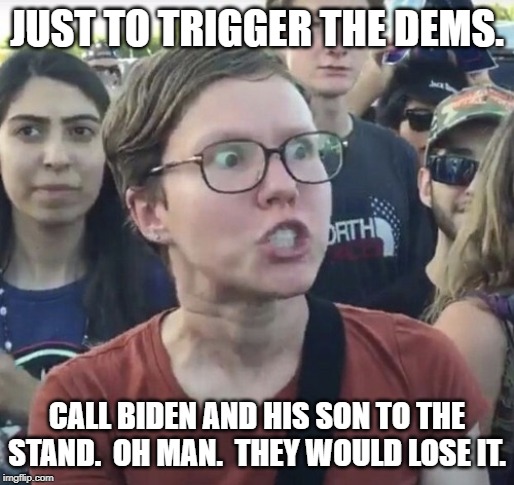 Triggered feminist | JUST TO TRIGGER THE DEMS. CALL BIDEN AND HIS SON TO THE STAND.  OH MAN.  THEY WOULD LOSE IT. | image tagged in triggered feminist | made w/ Imgflip meme maker