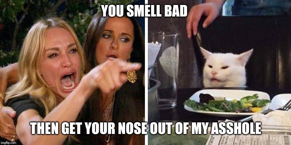 Smudge the cat | YOU SMELL BAD; THEN GET YOUR NOSE OUT OF MY ASSHOLE | image tagged in smudge the cat | made w/ Imgflip meme maker