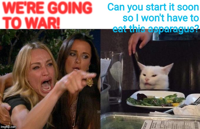 Woman Yelling At Cat Meme | WE'RE GOING TO WAR! Can you start it soon     so I won't have to        eat this asparagus? | image tagged in memes,woman yelling at cat | made w/ Imgflip meme maker