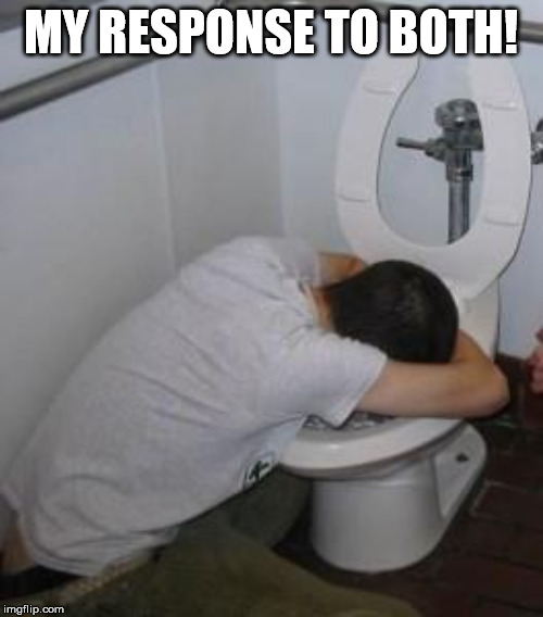 Drunk puking toilet | MY RESPONSE TO BOTH! | image tagged in drunk puking toilet | made w/ Imgflip meme maker