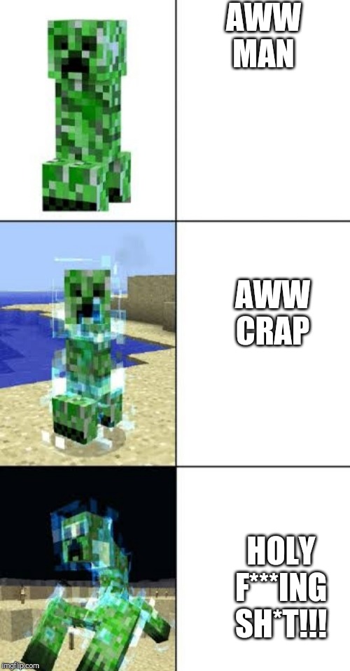 Minecraft creeper template | AWW MAN; AWW CRAP; HOLY F***ING SH*T!!! | image tagged in minecraft creeper template | made w/ Imgflip meme maker