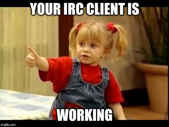You Got It Dude | YOUR IRC CLIENT IS; WORKING | image tagged in you got it dude | made w/ Imgflip meme maker