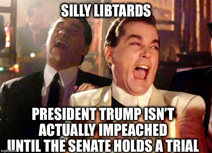 Per the constitution you libs have suddenly claimed you support | SILLY LIBTARDS; PRESIDENT TRUMP ISN’T ACTUALLY IMPEACHED UNTIL THE SENATE HOLDS A TRIAL | image tagged in memes,good fellas hilarious,trump impeachment,nancy pelosi,democratic party,democrat congressmen | made w/ Imgflip meme maker
