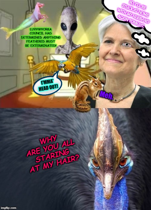 Alien Announcement | SO, I'LL BE STUCK AT HOME WITH MY HUSBAND AGAIN TONIGHT. LUVVWVORKA COUNCIL HAS DETERMINED ANYTHING FEATHERED MUST BE EXTERMINATED! I'MMA' HEAD OUT! Meh. WHY ARE YOU ALL STARING AT MY HAIR? | image tagged in alien announcement | made w/ Imgflip meme maker