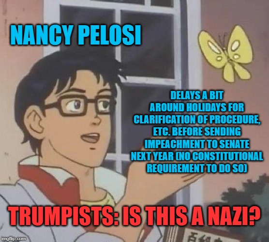This "Pelosi is a usurper!" stuff over a couple-day delay is so over-the-top. | NANCY PELOSI; DELAYS A BIT AROUND HOLIDAYS FOR CLARIFICATION OF PROCEDURE, ETC. BEFORE SENDING IMPEACHMENT TO SENATE NEXT YEAR (NO CONSTITUTIONAL REQUIREMENT TO DO SO); TRUMPISTS: IS THIS A NAZI? | image tagged in memes,is this a pigeon,impeach trump,impeach,impeachment,trump impeachment | made w/ Imgflip meme maker