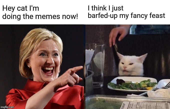 Hag Yells @ Cat | Hey cat I'm doing the memes now! I think I just barfed-up my fancy feast | image tagged in woman yelling at cat,witch,disgusting,criminal,hillary clinton | made w/ Imgflip meme maker