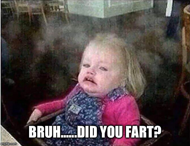 Bruh...... | BRUH......DID YOU FART? | image tagged in bruh,fart | made w/ Imgflip meme maker