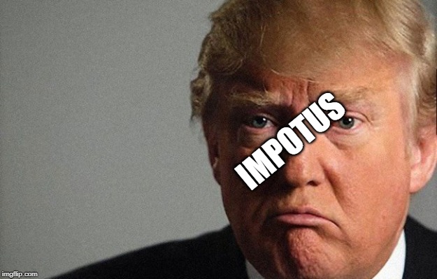 Trump SAD | IMPOTUS | image tagged in trump sad | made w/ Imgflip meme maker