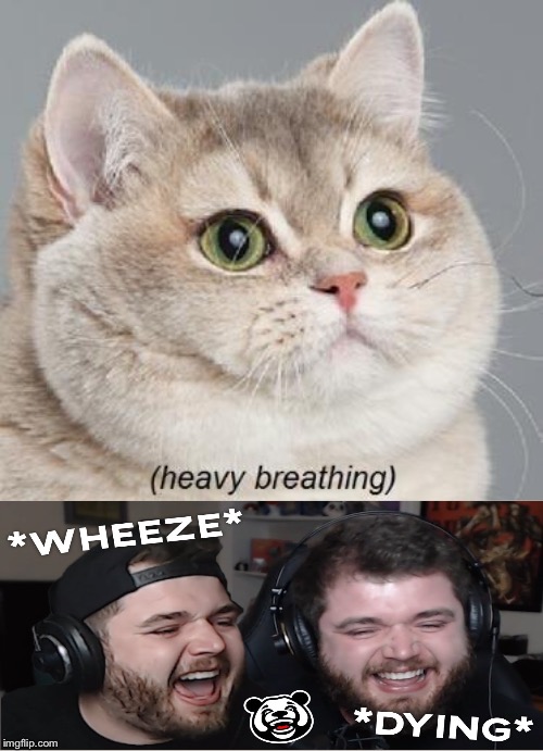 Heavy Breathing Cat Meme | image tagged in memes,heavy breathing cat | made w/ Imgflip meme maker
