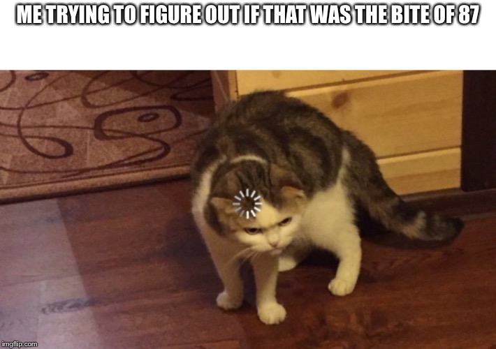 Buffering cat | ME TRYING TO FIGURE OUT IF THAT WAS THE BITE OF 87 | image tagged in buffering cat | made w/ Imgflip meme maker