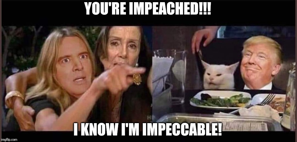 Schiff Pelosi Trump Cat | YOU'RE IMPEACHED!!! I KNOW I'M IMPECCABLE! | image tagged in schiff pelosi trump cat | made w/ Imgflip meme maker