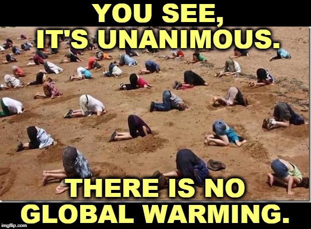 Climate change deniers, presenting their brains to the sun. Pathetic. | YOU SEE, IT'S UNANIMOUS. THERE IS NO GLOBAL WARMING. | image tagged in head in sand,global warming,climate change,stupid,butthead,idiots | made w/ Imgflip meme maker