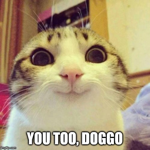 Smiling Cat Meme | YOU TOO, DOGGO | image tagged in memes,smiling cat | made w/ Imgflip meme maker