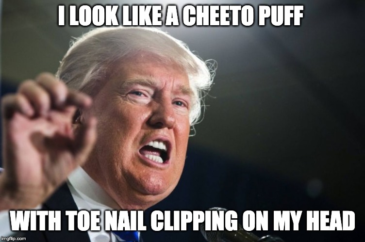 donald trump | I LOOK LIKE A CHEETO PUFF; WITH TOE NAIL CLIPPING ON MY HEAD | image tagged in donald trump | made w/ Imgflip meme maker