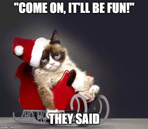 christmas grumpy cat | "COME ON, IT'LL BE FUN!"; THEY SAID | image tagged in christmas grumpy cat | made w/ Imgflip meme maker