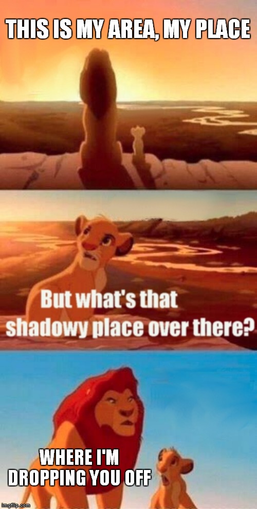 Simba Shadowy Place | THIS IS MY AREA, MY PLACE; WHERE I'M DROPPING YOU OFF | image tagged in memes,simba shadowy place | made w/ Imgflip meme maker