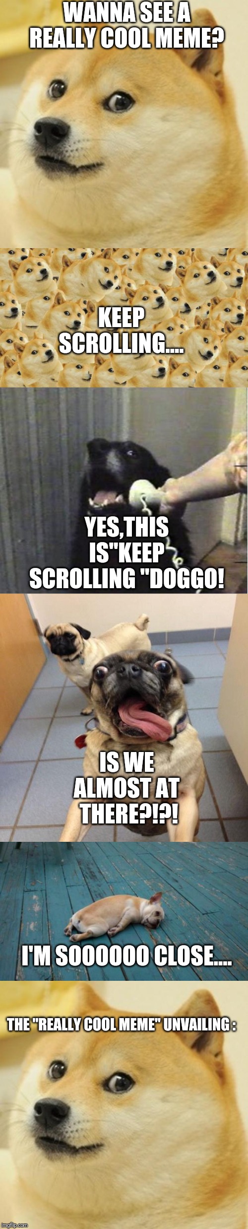 WANNA SEE A REALLY COOL MEME? KEEP SCROLLING.... YES,THIS IS"KEEP SCROLLING "DOGGO! IS WE ALMOST AT  THERE?!?! I'M SOOOOOO CLOSE.... THE "REALLY COOL MEME" UNVAILING : | image tagged in yes this is dog,memes,multi doge,doge,tired dog,excited dog | made w/ Imgflip meme maker