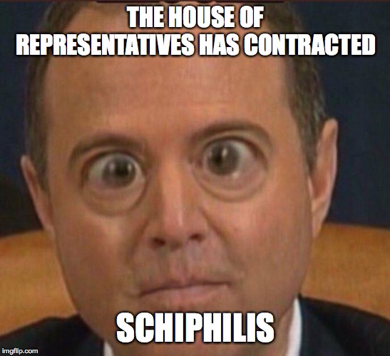 Ig report Adam schiffff | THE HOUSE OF REPRESENTATIVES HAS CONTRACTED; SCHIPHILIS | image tagged in ig report adam schiffff | made w/ Imgflip meme maker