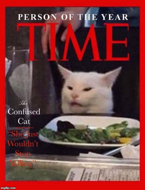 Time person of the year - Cat | image tagged in cat,woman yelling at cat | made w/ Imgflip meme maker