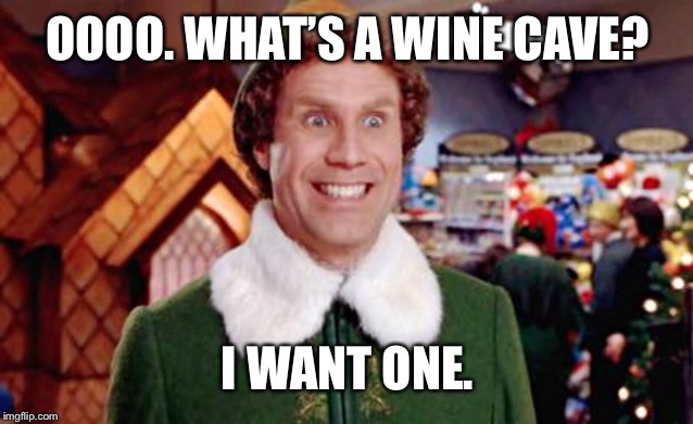 Buddy the Elf | OOOO. WHAT’S A WINE CAVE? I WANT ONE. | image tagged in buddy the elf,wine,democrats | made w/ Imgflip meme maker