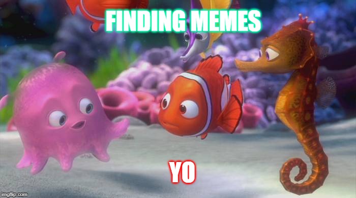 Finding Nemo | FINDING MEMES; YO | image tagged in finding nemo | made w/ Imgflip meme maker