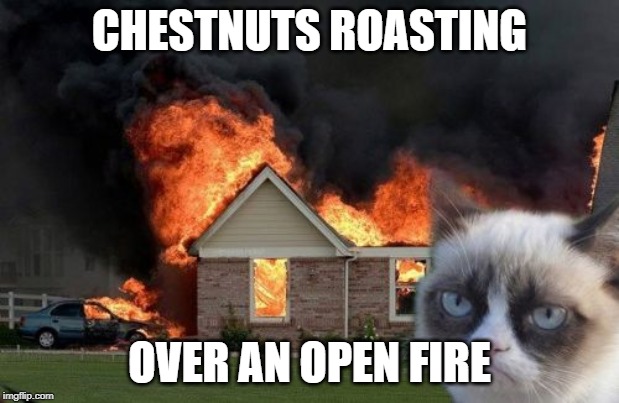 Burn Kitty | CHESTNUTS ROASTING; OVER AN OPEN FIRE | image tagged in memes,burn kitty,grumpy cat | made w/ Imgflip meme maker