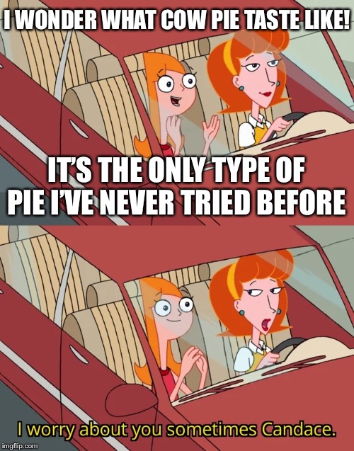 I worry about you sometimes Candace | I WONDER WHAT COW PIE TASTE LIKE! IT’S THE ONLY TYPE OF PIE I’VE NEVER TRIED BEFORE | image tagged in i worry about you sometimes candace | made w/ Imgflip meme maker