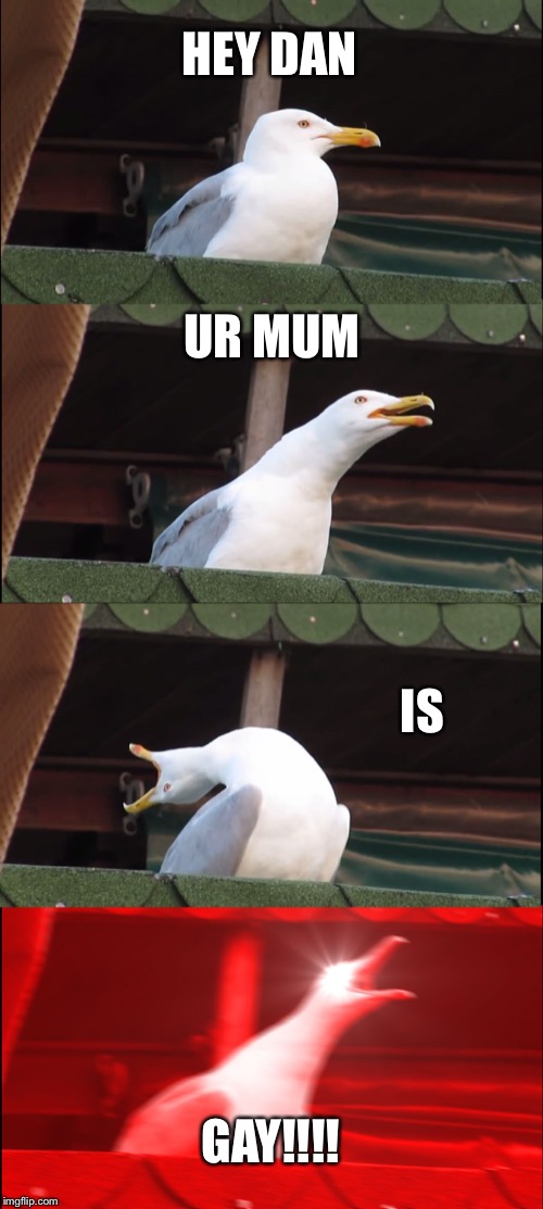 Inhaling Seagull | HEY DAN; UR MUM; IS; GAY!!!! | image tagged in memes,inhaling seagull | made w/ Imgflip meme maker