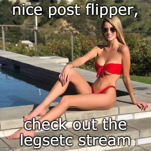 nice post flipper, check out the legsetc stream | made w/ Imgflip meme maker