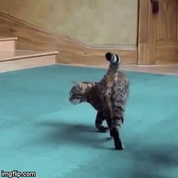 I Believe I Can Jump Imgflip