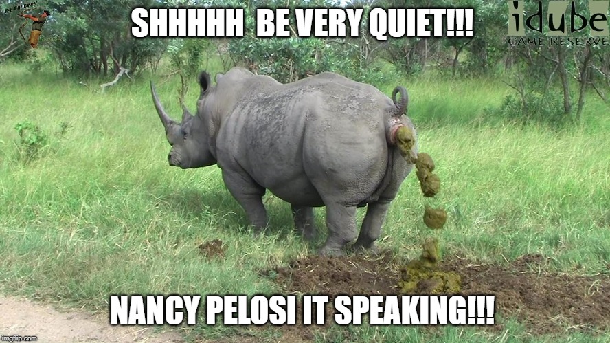 rhino poop | SHHHHH  BE VERY QUIET!!! NANCY PELOSI IT SPEAKING!!! | image tagged in rhino poop | made w/ Imgflip meme maker