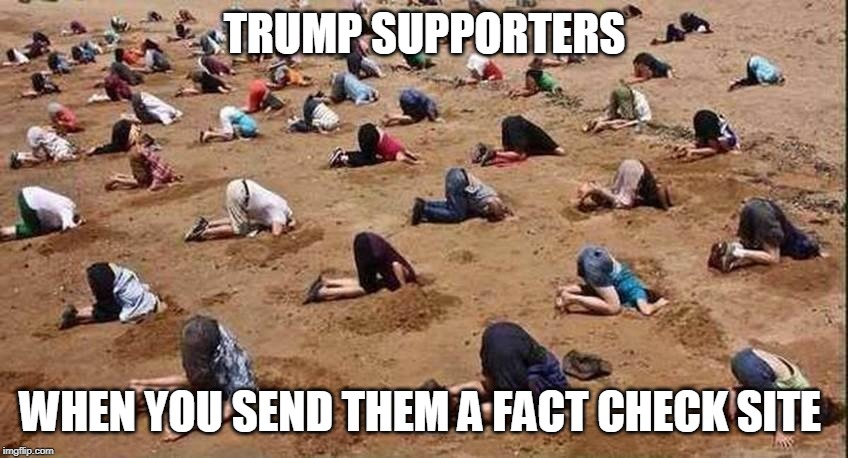 trump supporters | TRUMP SUPPORTERS; WHEN YOU SEND THEM A FACT CHECK SITE | image tagged in trump supporters | made w/ Imgflip meme maker