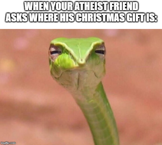 Skeptical snake |  WHEN YOUR ATHEIST FRIEND ASKS WHERE HIS CHRISTMAS GIFT IS: | image tagged in skeptical snake | made w/ Imgflip meme maker
