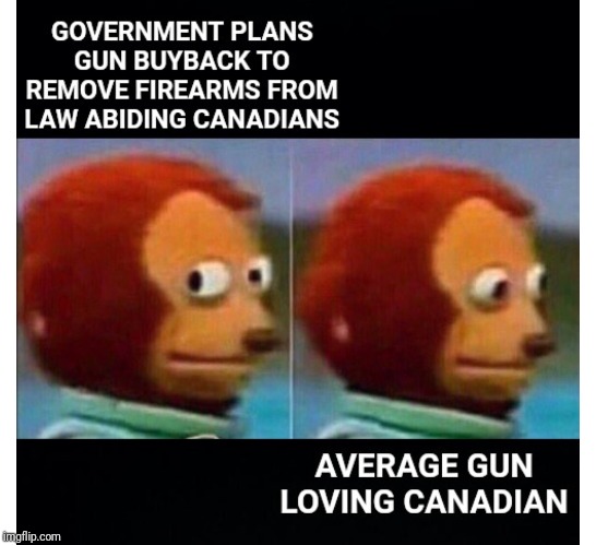 The Canadian council of police will not endorse this. | image tagged in gun control,canada,monkey puppet,guns | made w/ Imgflip meme maker