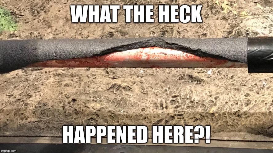 WHAT THE HECK; HAPPENED HERE?! | image tagged in what the heck | made w/ Imgflip meme maker